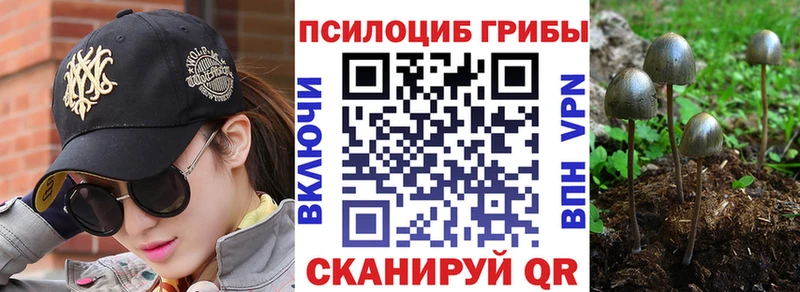 как найти закладки MEGA ссылки Галлюциногенные грибы Psilocybine cubensis дарк нет как зайти Тулун